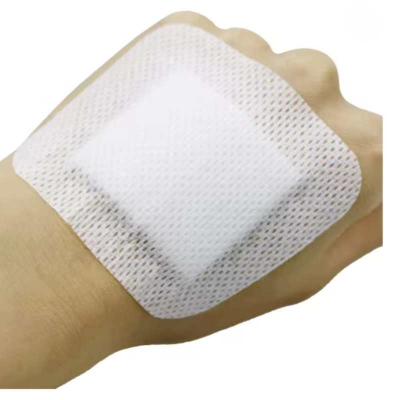 50PCS Non-Woven Medical Adhesi - Medical Lab Kit 评论和价格